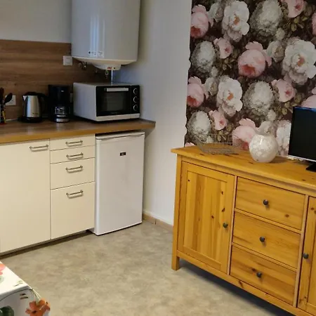 Les Coquelicots D'alsace Appartamento Morsbronn-les-Bains