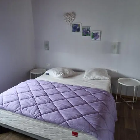 Les Coquelicots D'alsace *